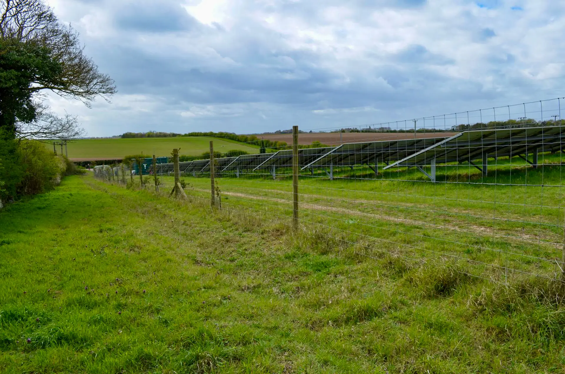 Photovoltaik-Anlage auf Grünland mit Wiese zwischen den Modulreihen